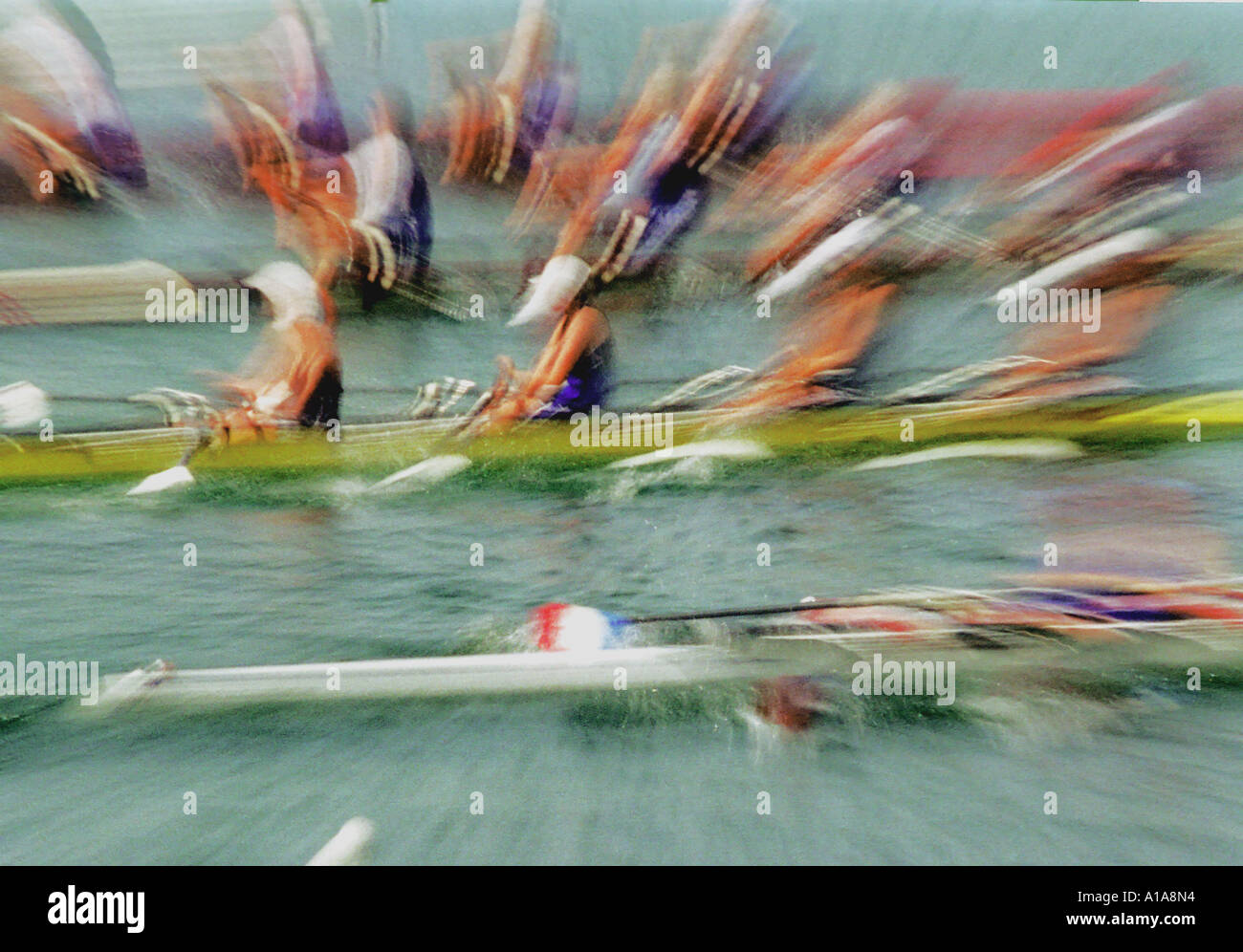 Rowing - Rudern Typical, gezoomt Stock Photo