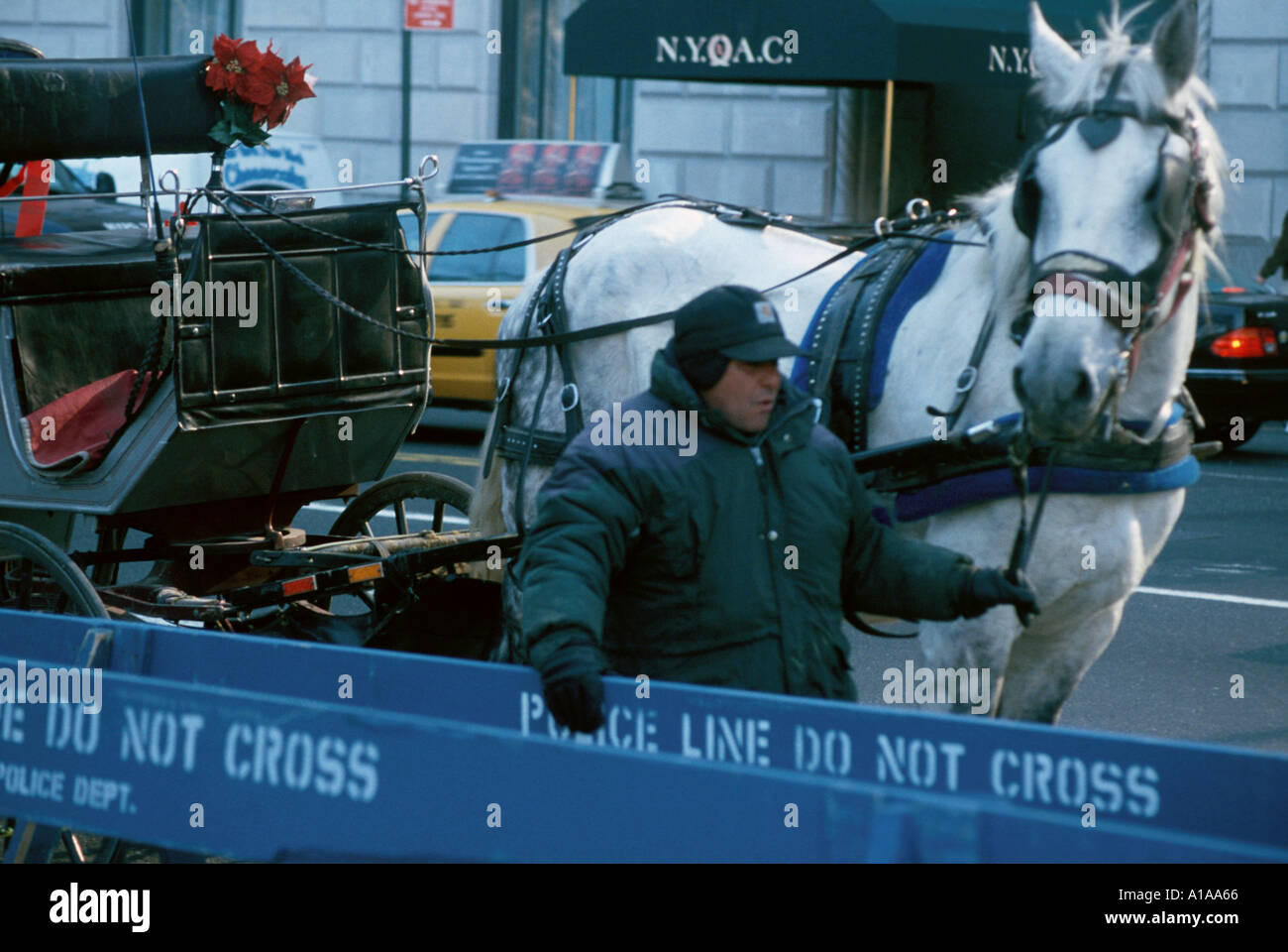 Central park winter horse hi-res stock photography and images - Alamy