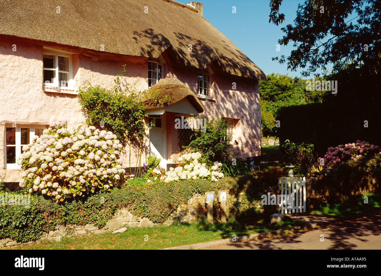 Country Cottage South Devon UK Stock Photo Alamy