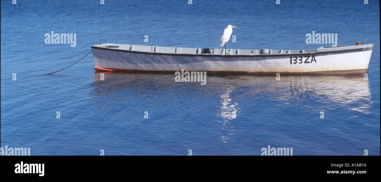 Rowing boat Australind Southwest Australia Stock Photo Alamy