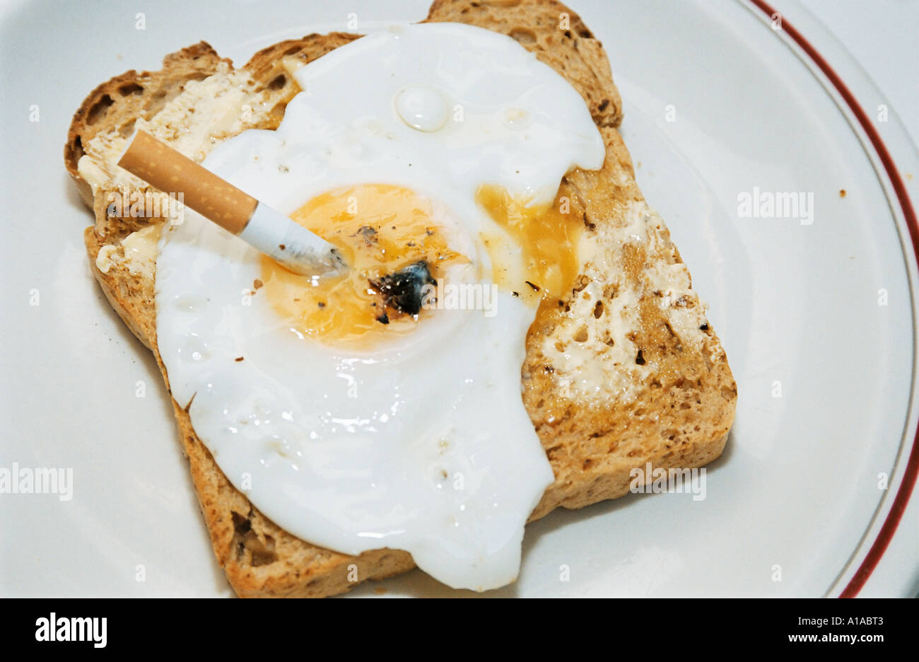 eating eggs like smoking cigarettes is Fact. Eggs = cigarettes : r/insanepeoplefacebook Guest Column: Comparing eggs with