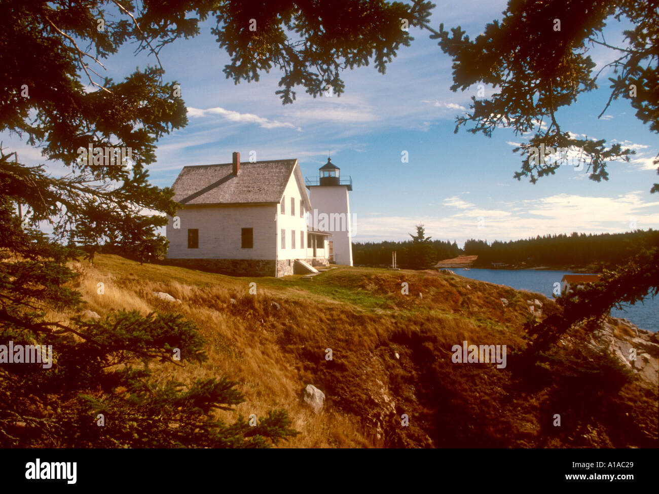 Burnt coat harbor light swans island maine Stock Photo Alamy