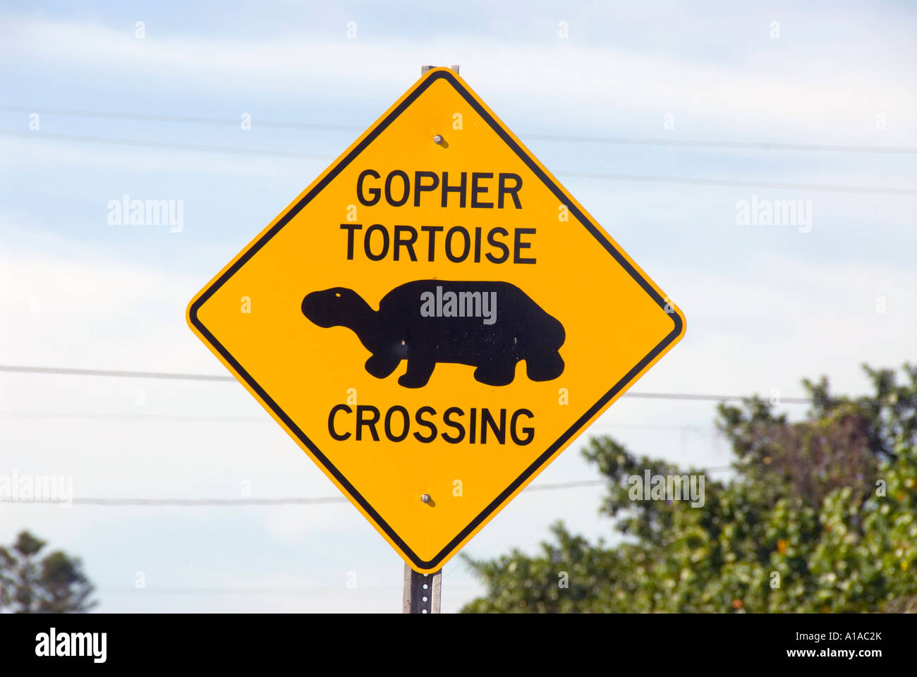 Florida Sanibel Island gopher tortoise crossing sign on highway Stock Photo