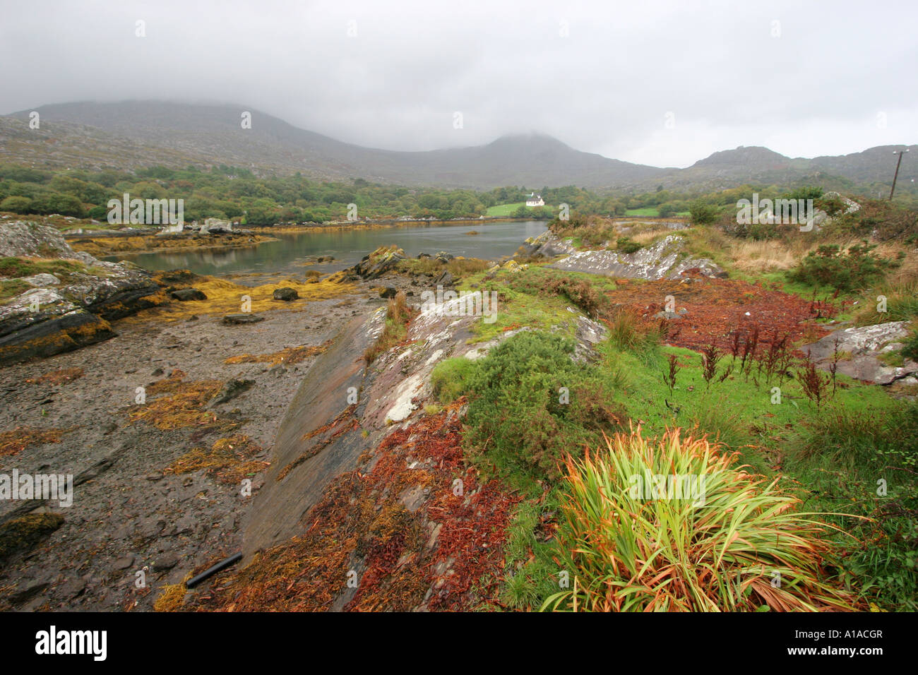 Landscape at Kinmare River on Beara Peninsula , Cork , Munster , Ireland , Europe Stock Photo