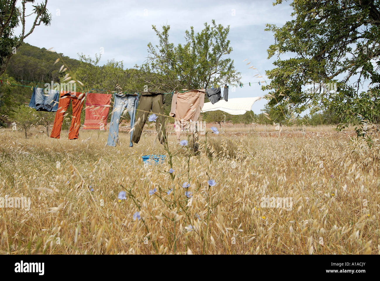 Clothesline at a meadow , Ibiza , Balearis Islands , Spain , Europe Stock Photo