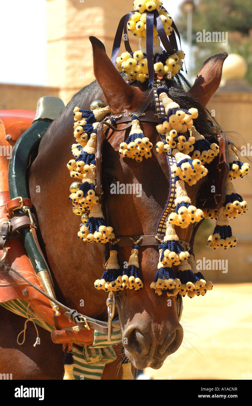 Decorated horse , Feria de Caballo , Jerez de la Frontera , Cadiz