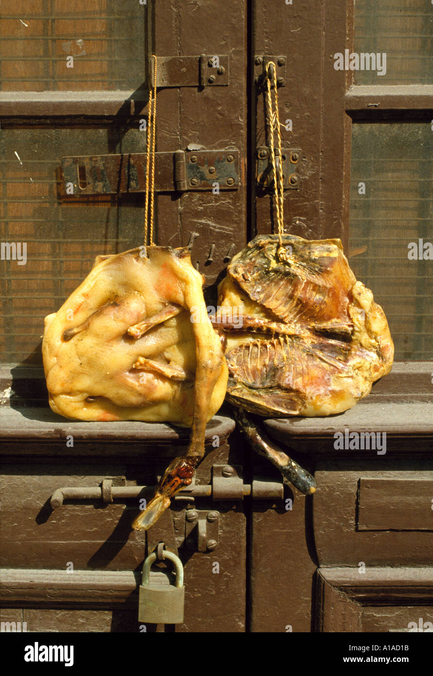 Dead ducks on a door Stock Photo