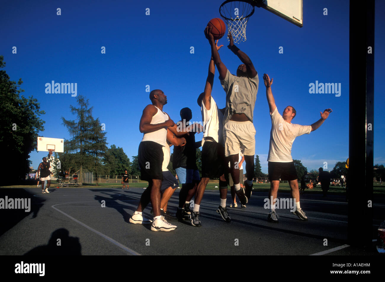 Basketball men in twenties hires stock photography and images Alamy