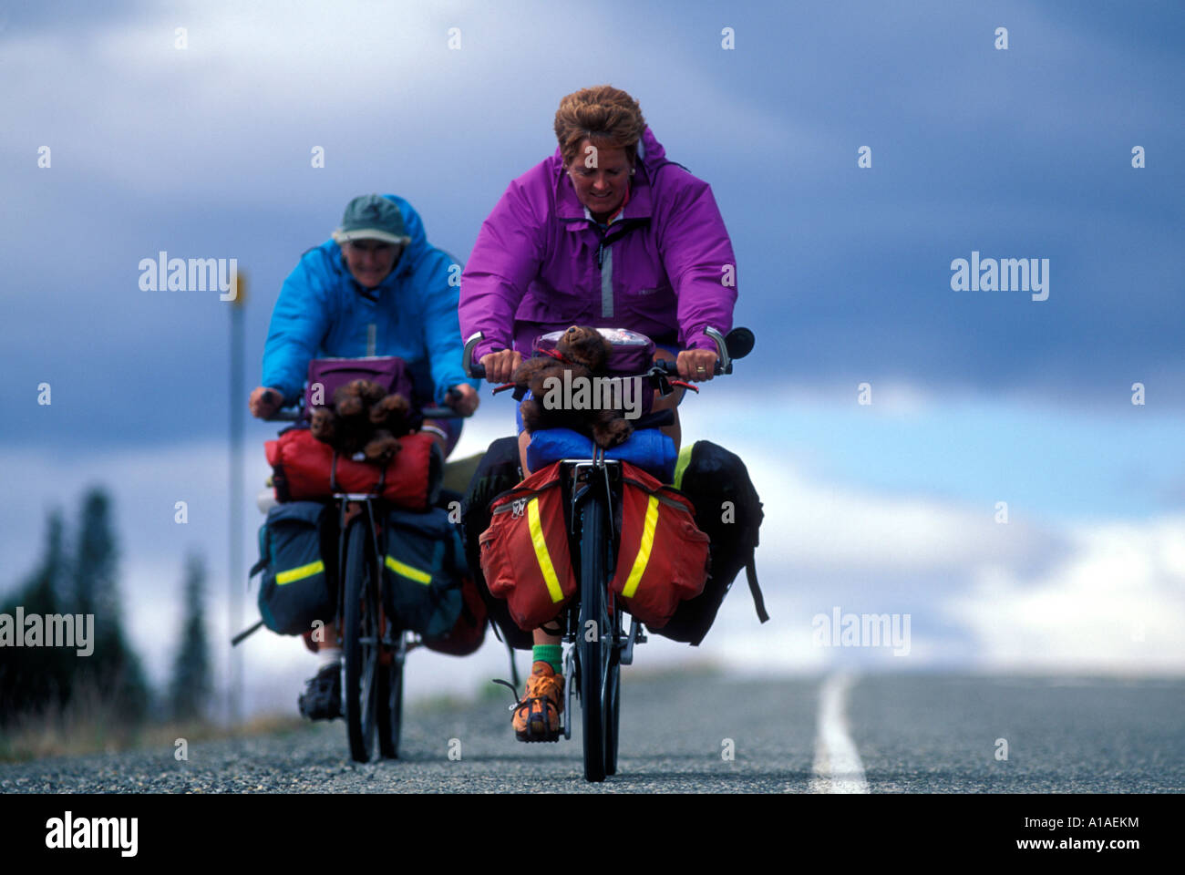 The long riders hi-res stock photography and images - Alamy