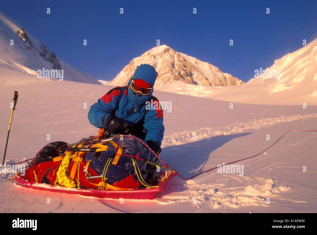 USA Alaska Denali National Park MR Rudiger Stuiss works on sled at sunset at 10500 feet during