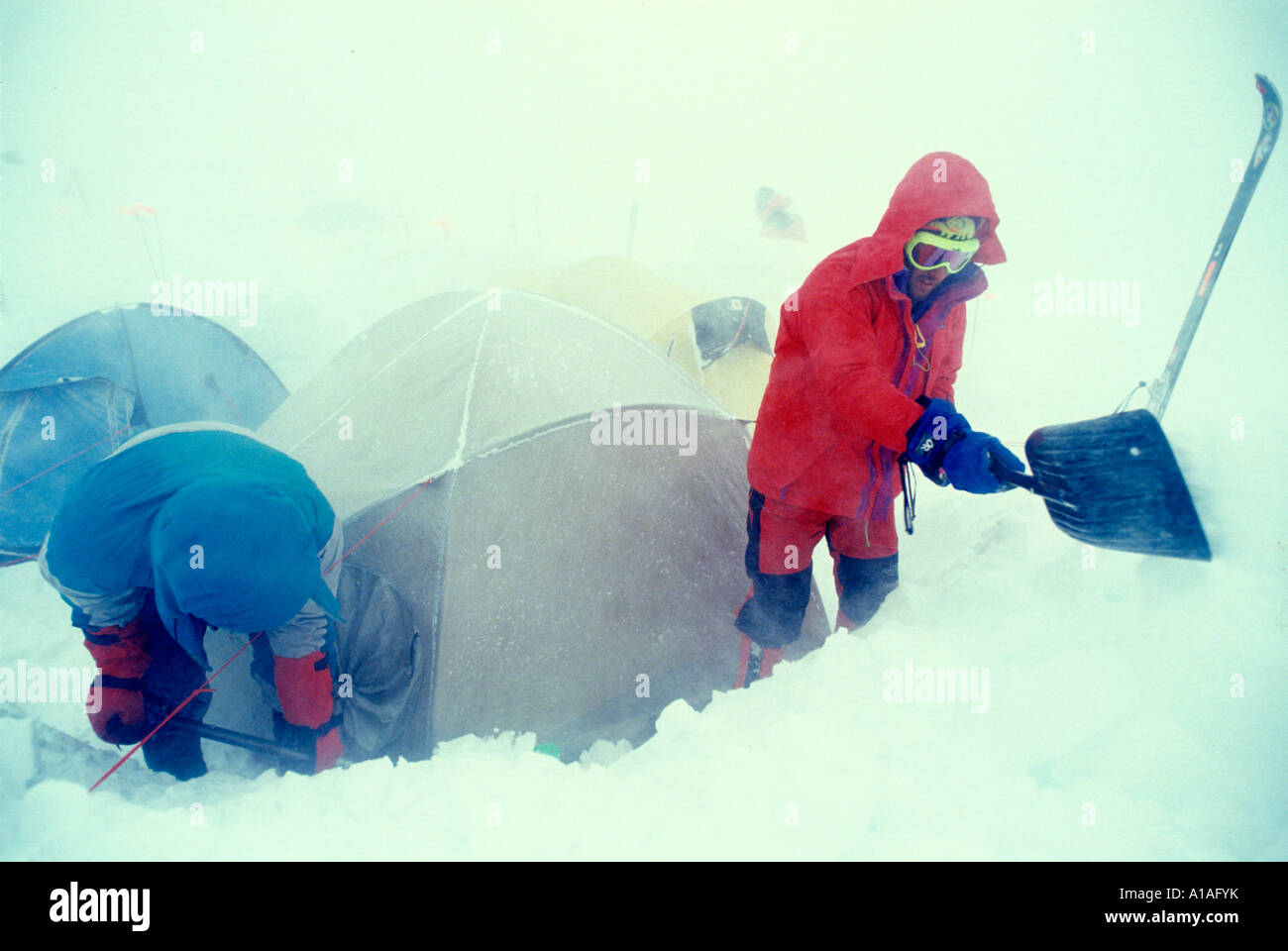 USA Alaska Denali National Park Climber digs out tents battered by wind and snow at 11000 on Mount McKinley Stock Photo