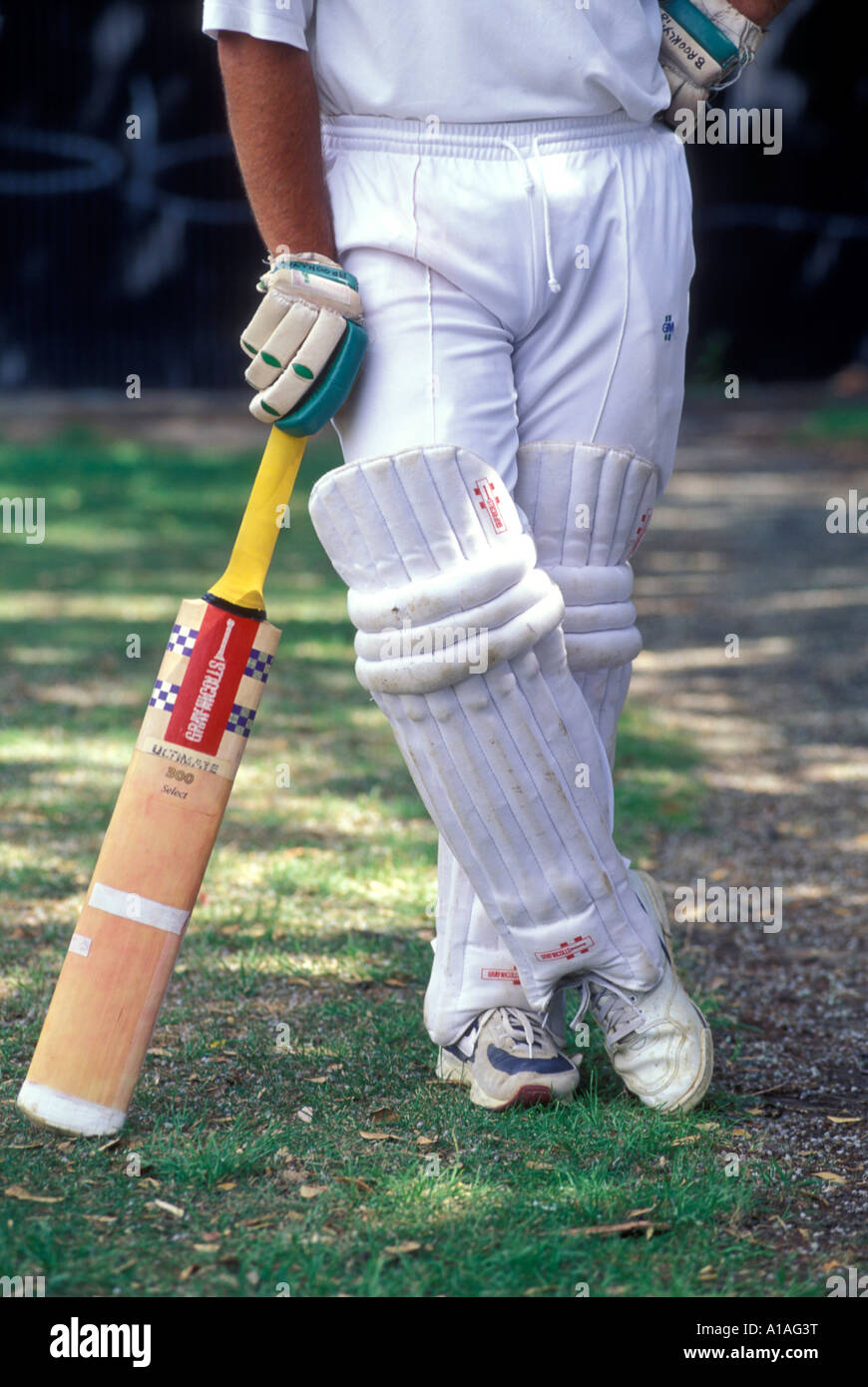 New Zealand MR Cricketer John Robertson plays in a recreational cricket match at Kilbernie Park in Wellington Stock Photo