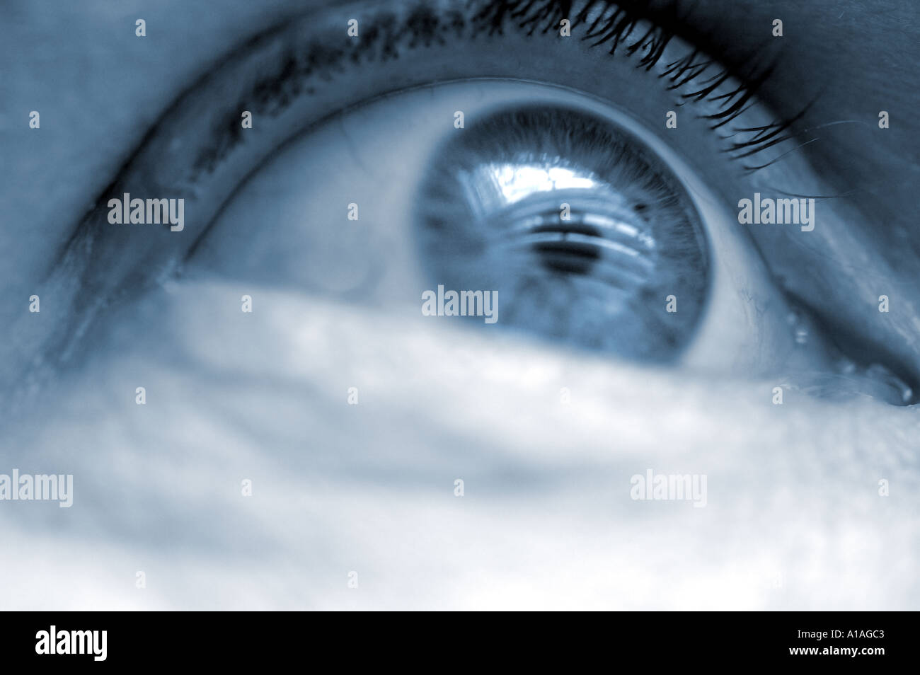 An eye looking out 'business concept' Eyes 'Looking Ahead' Stock Photo