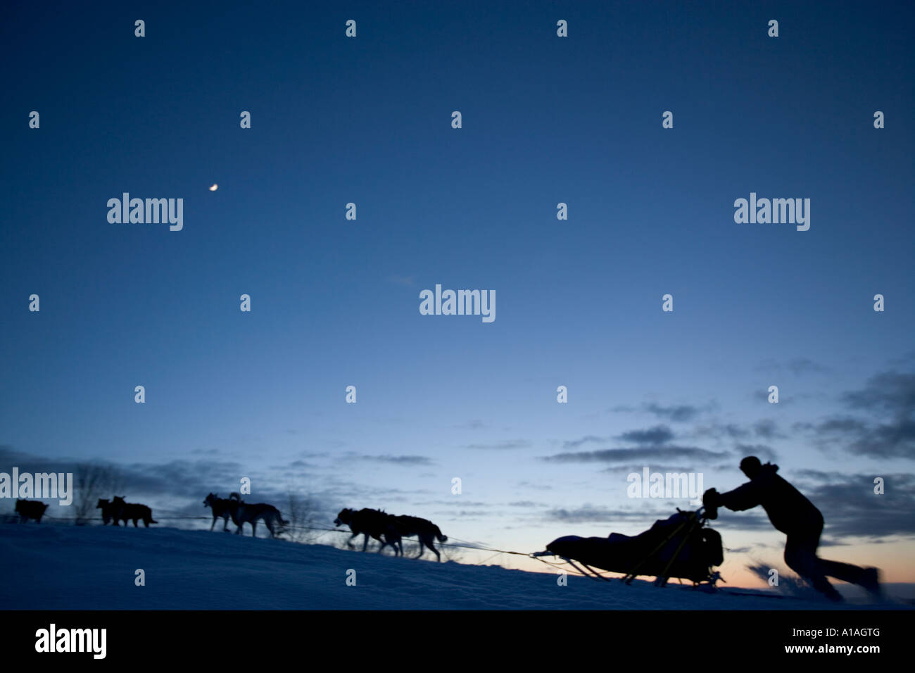 USA Alaska Unalakleet 2005 champion Robert Sorlei races dog team toward Bering Sea coast during 2005 Iditarod sled dog race Stock Photo