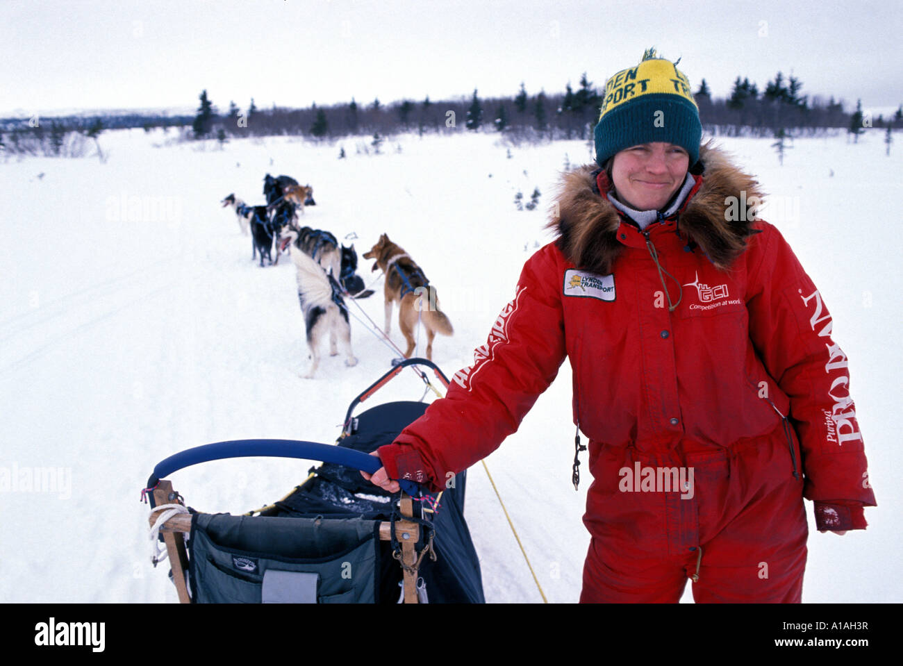 Alaska portrait sled dog iditarod musher hi-res stock photography and  images - Alamy