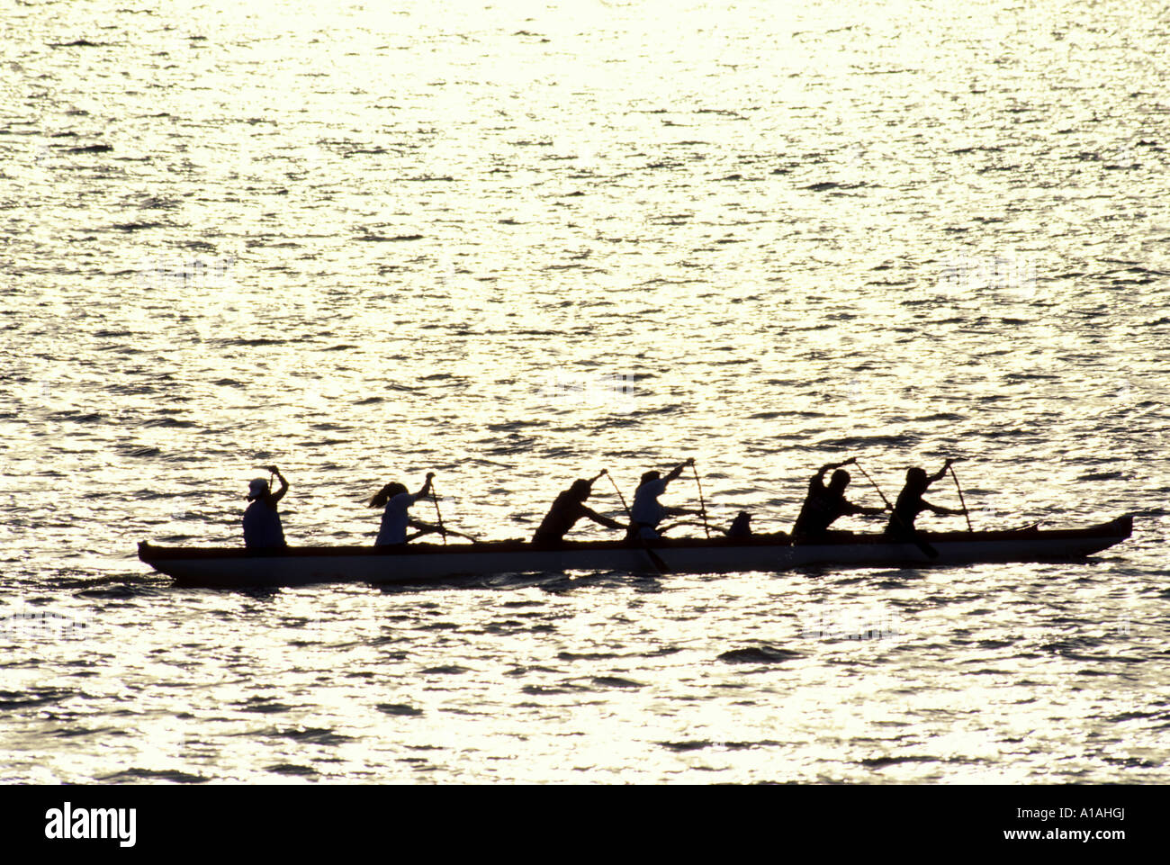 Canada British Columbia Vancouver Dragon Boat team practices in Burrard Inlet at sunset on summer evening Stock Photo