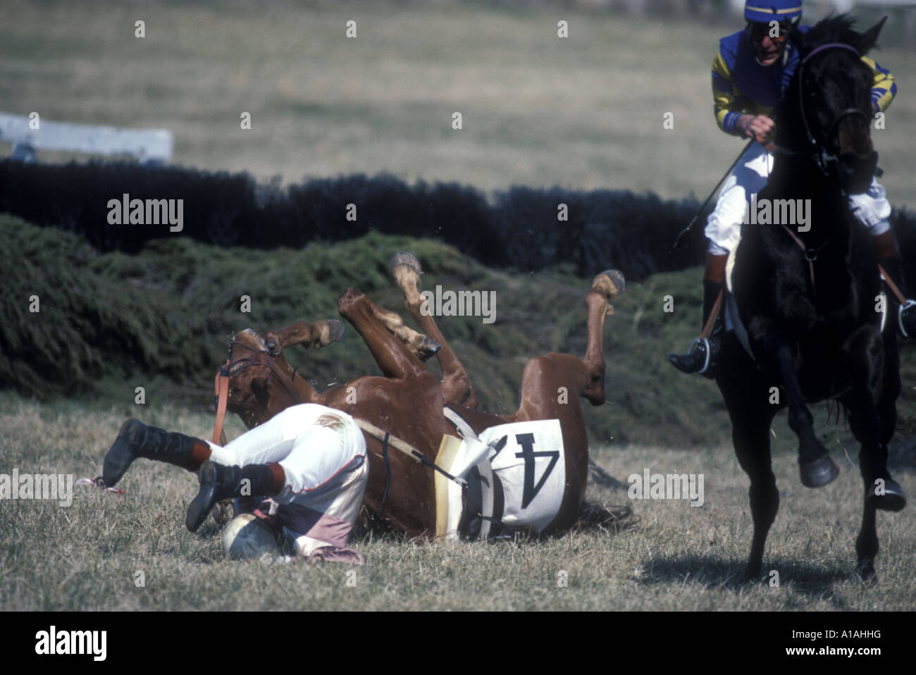 USA Virginia Warrenton Jockey and horse fall after failing to clear