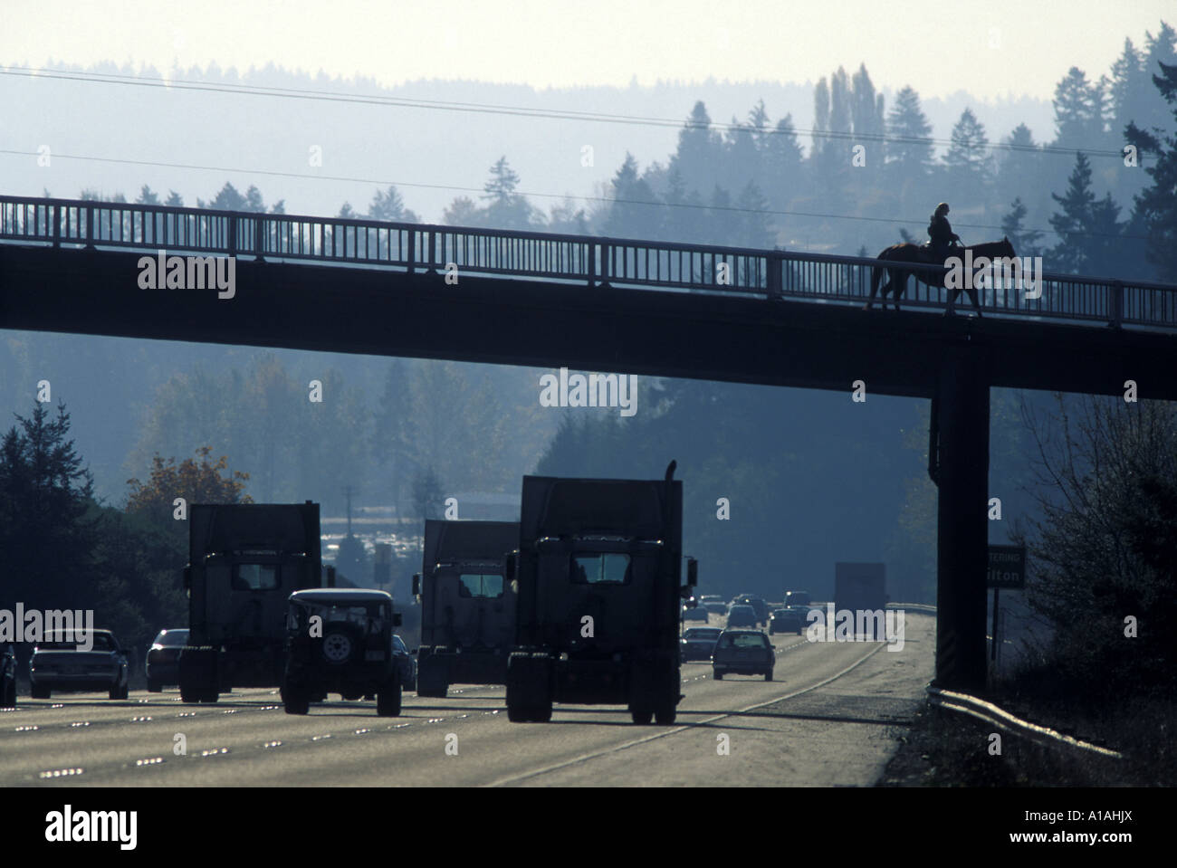 USA Washington Horseback rider take bridge above busy Interstate