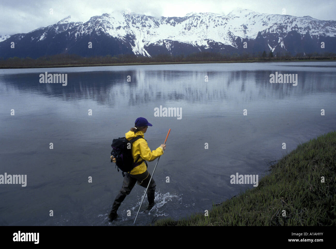 USA Alaska Fish and Game biologist hikes along shallow banks of Eyak