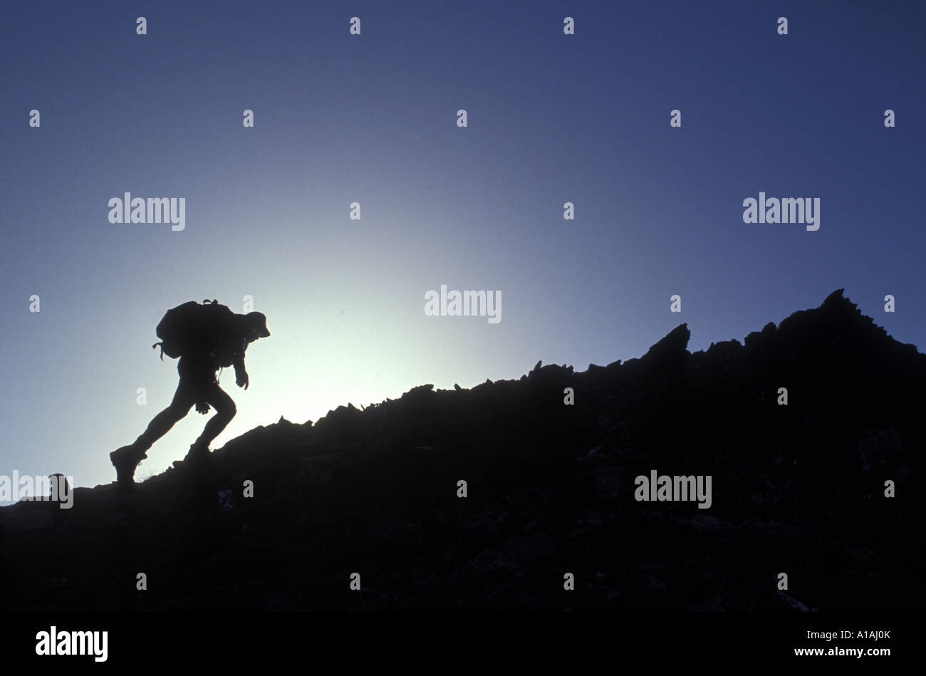 USA Alaska Arctic National Wildlife Refuge MR Hiker ascends steep rock slopes climbing Mt Greenough in Brooks Range Stock Photo