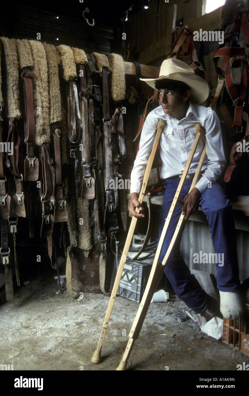 USA New Jersey Woodstown Injured rodeo cowboy with crutches watches Stock  Photo - Alamy