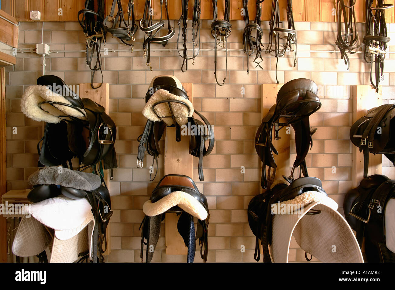 Riding tack Stock Photo Alamy