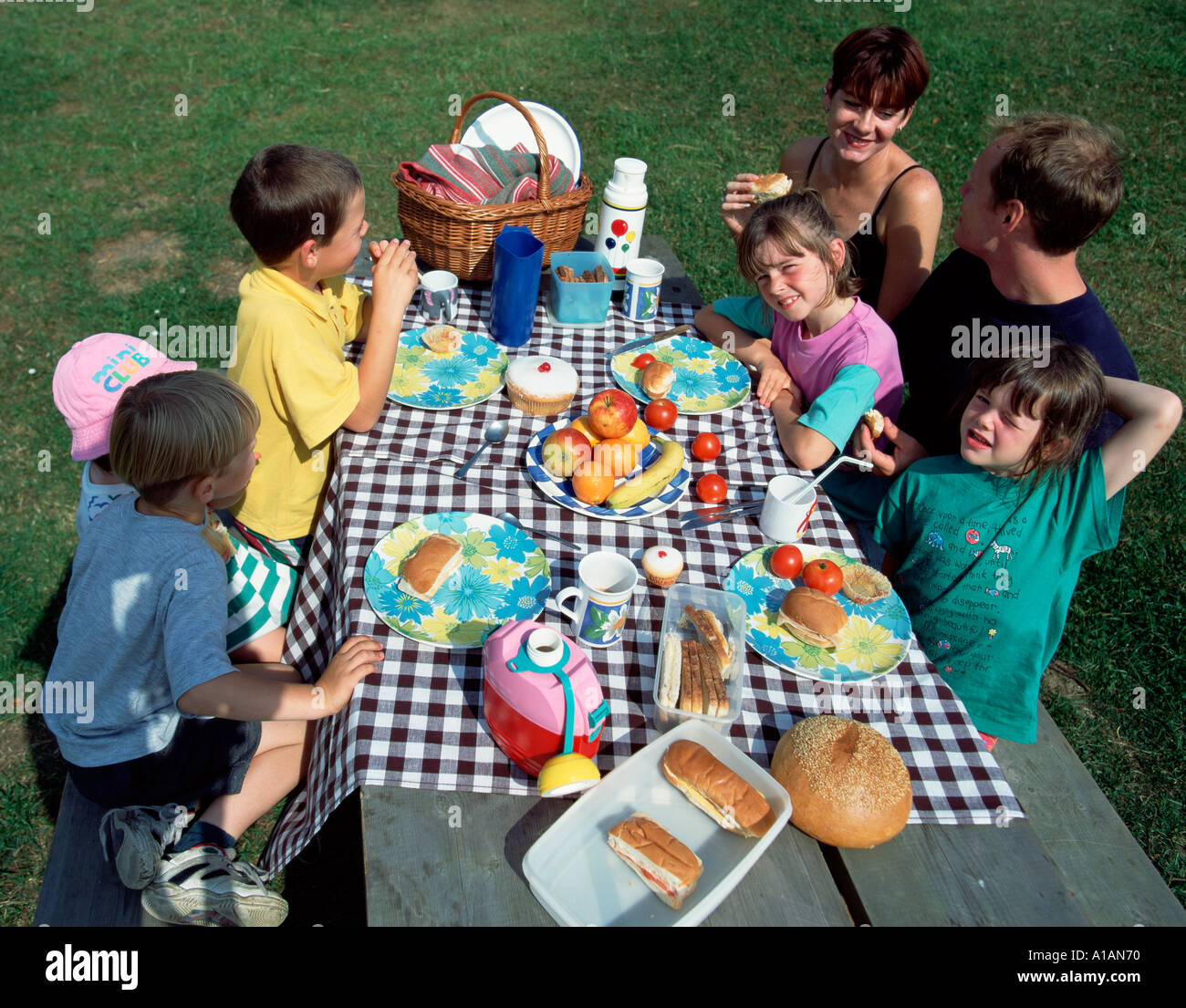 Picnic Families Lifestyle Stock Photo
