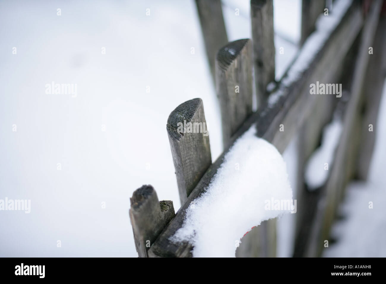 Snow on a fence Stock Photo