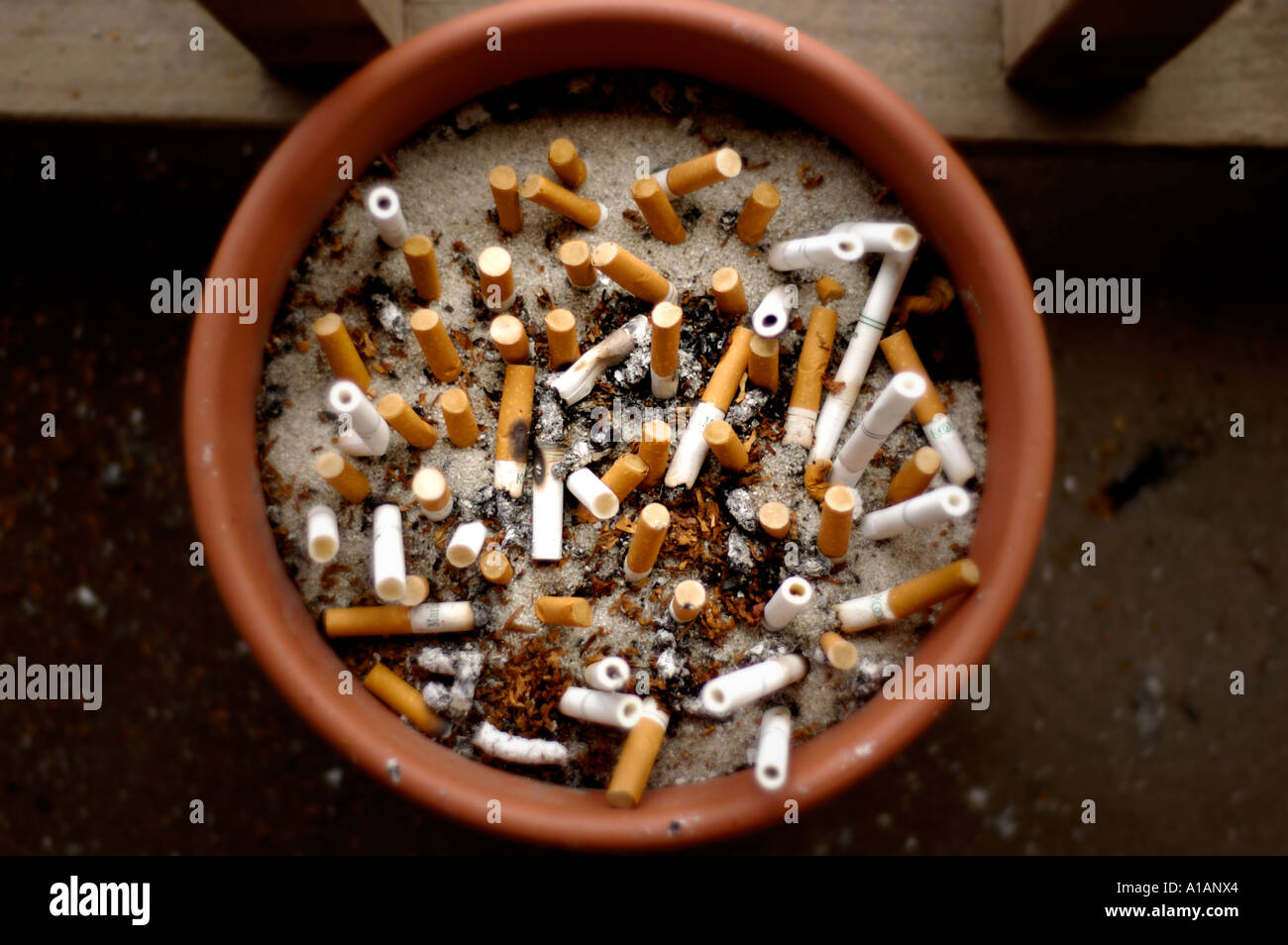 Plant pot used as an ashtray for cigarette butts Stock Photo Alamy