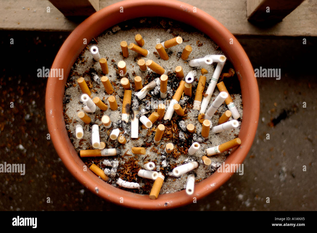 Plant pot used as an ashtray for cigarette butts Stock Photo - Alamy