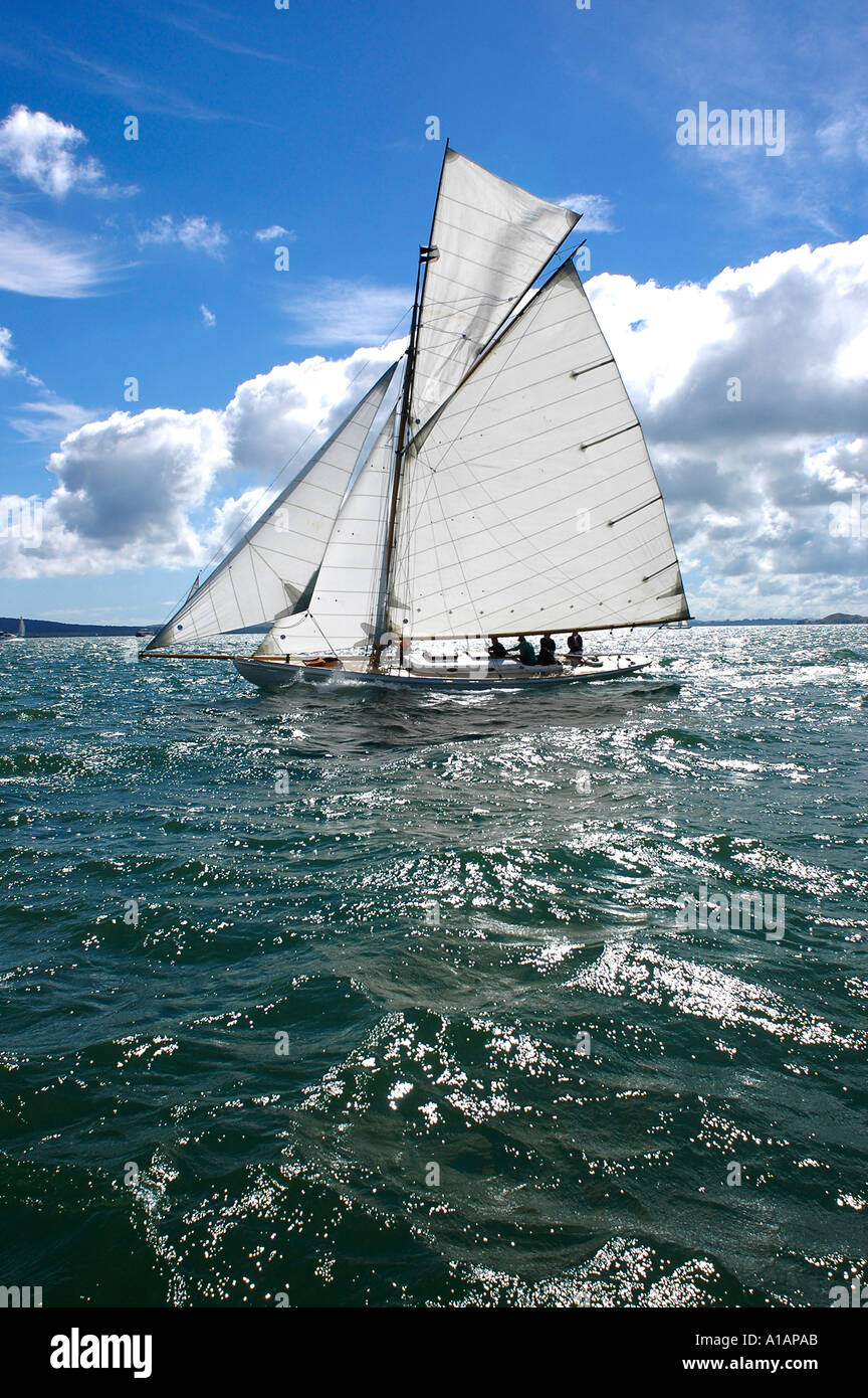 Classic gaff rigged sailing sloop on a sparkling green sea under a blue ...