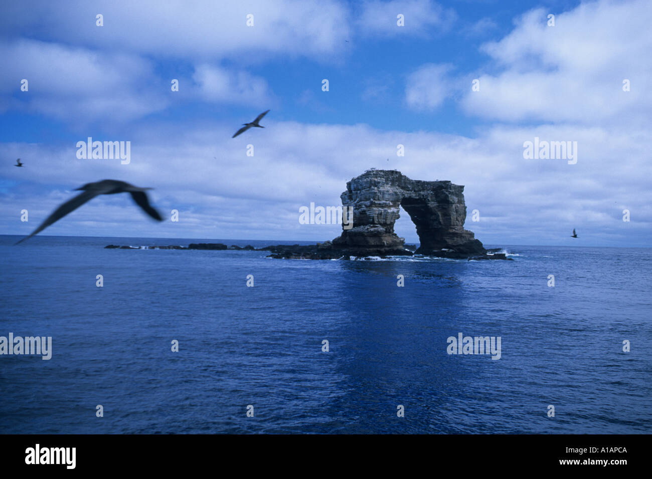 Darwin s Arch Darwin Island Galapagos Island South America Stock Photo ...