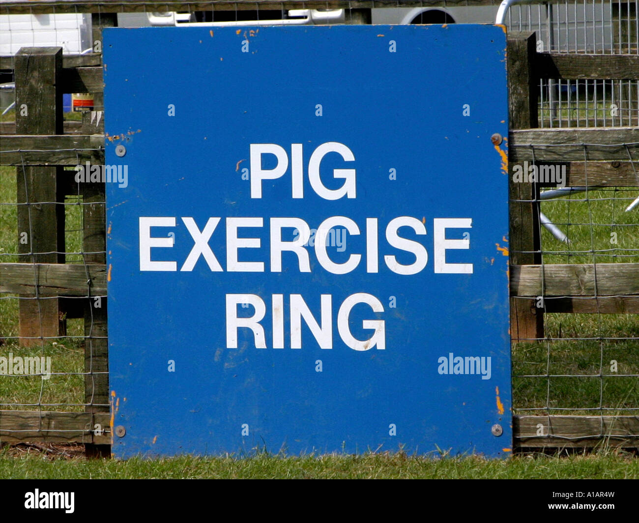 A sign that says pig exercising ring. Stock Photo