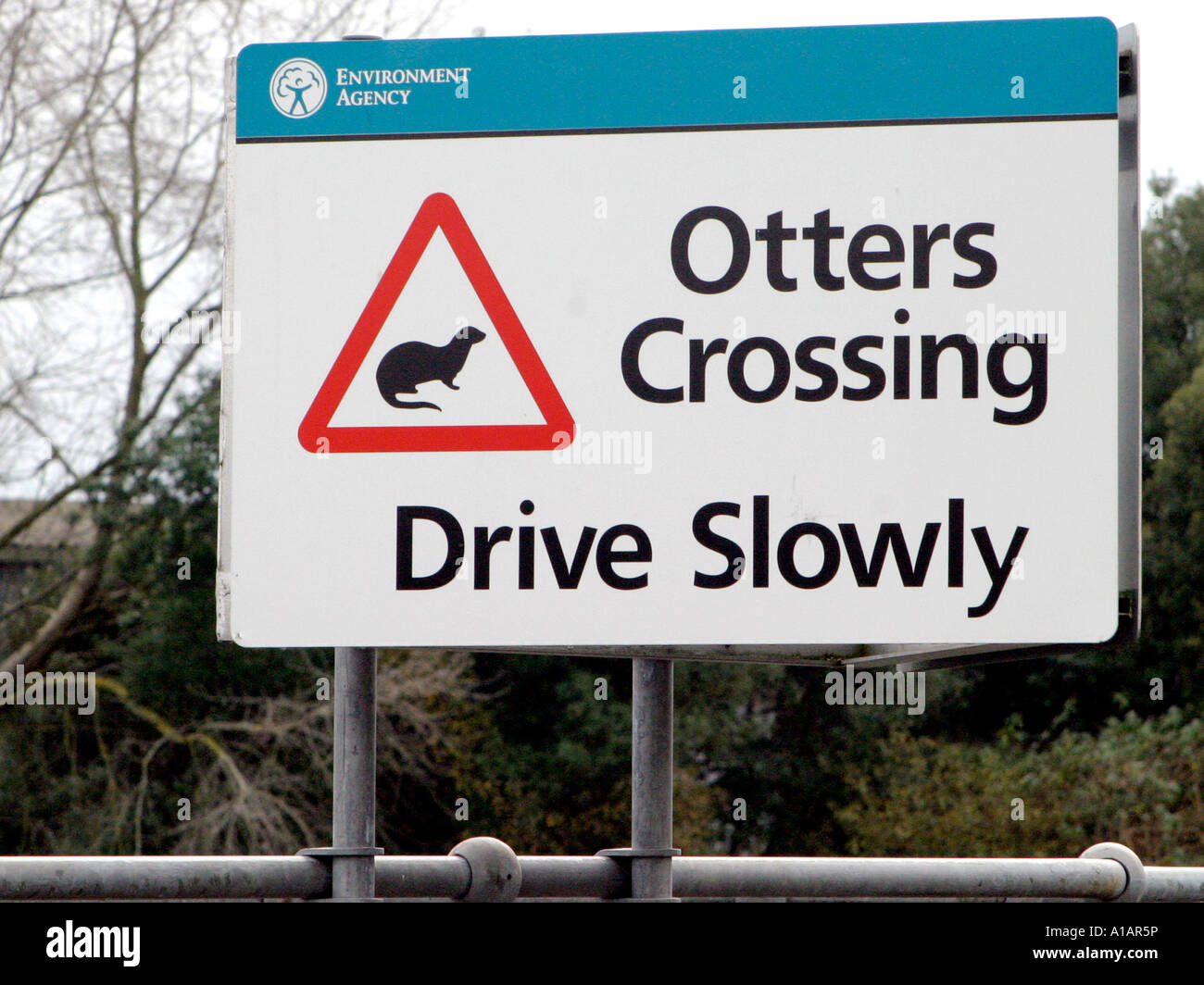 A sign for an otter crossing supplied by the Environment Agency. Stock Photo