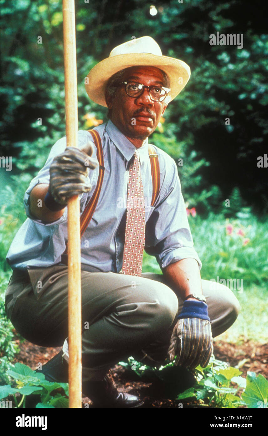 Driving Miss Daisy Year 1989 Director Bruce Beresford Morgan Freeman Stock Photo