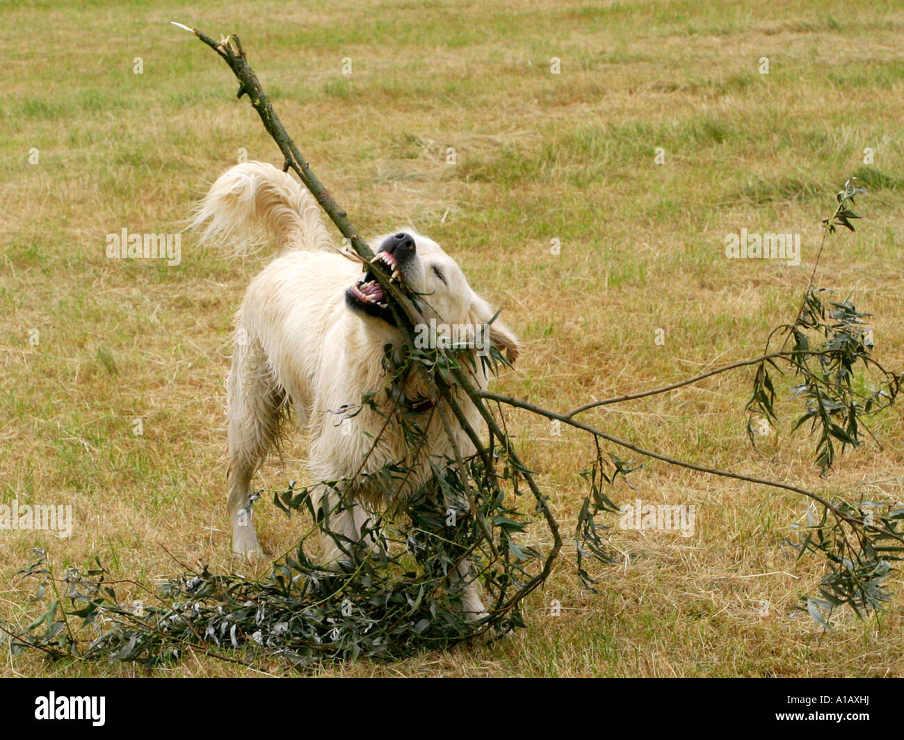 Large returns hi-res stock photography and images - Alamy