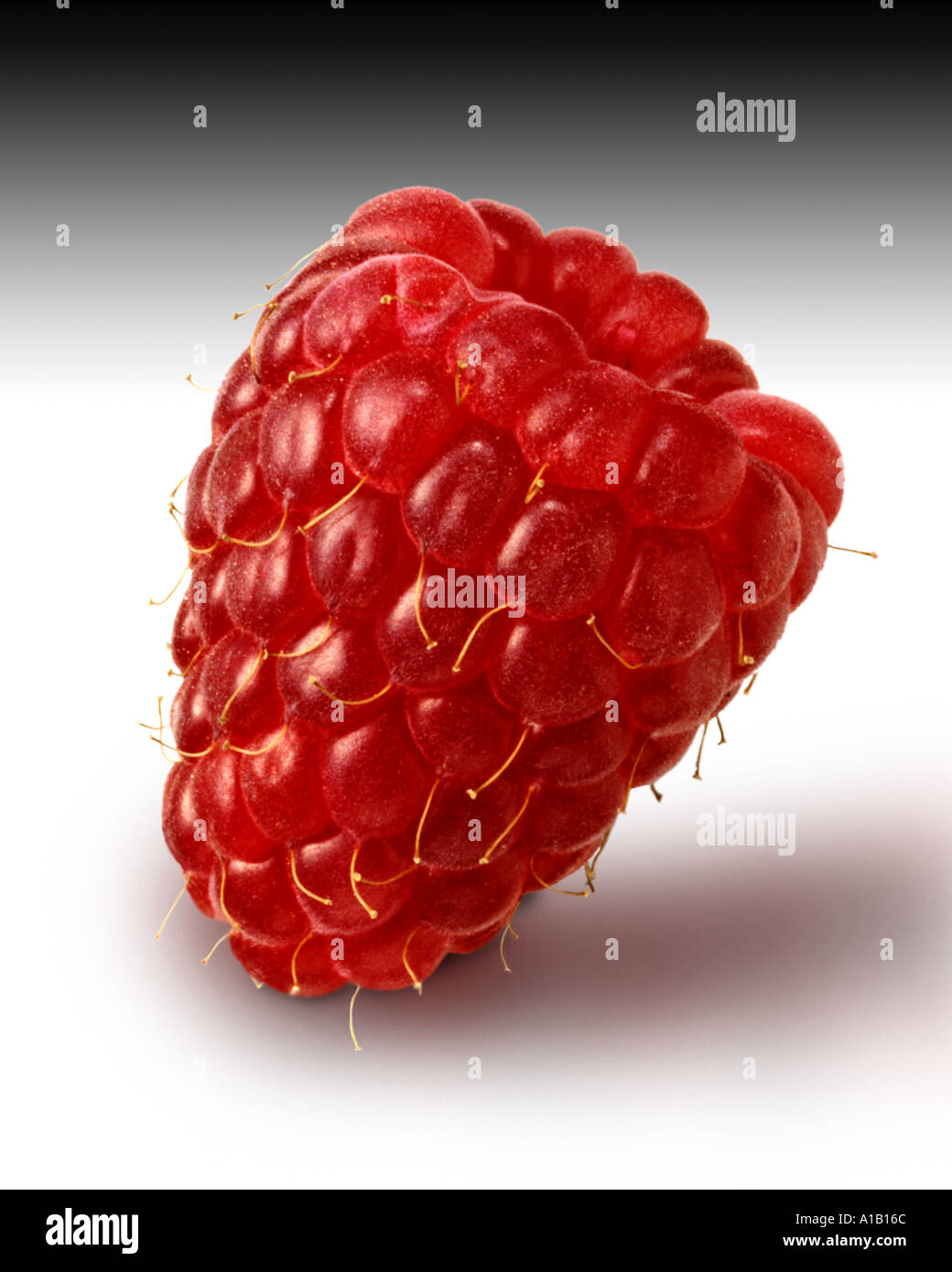 Raspberry hi-res stock photography and images - Alamy