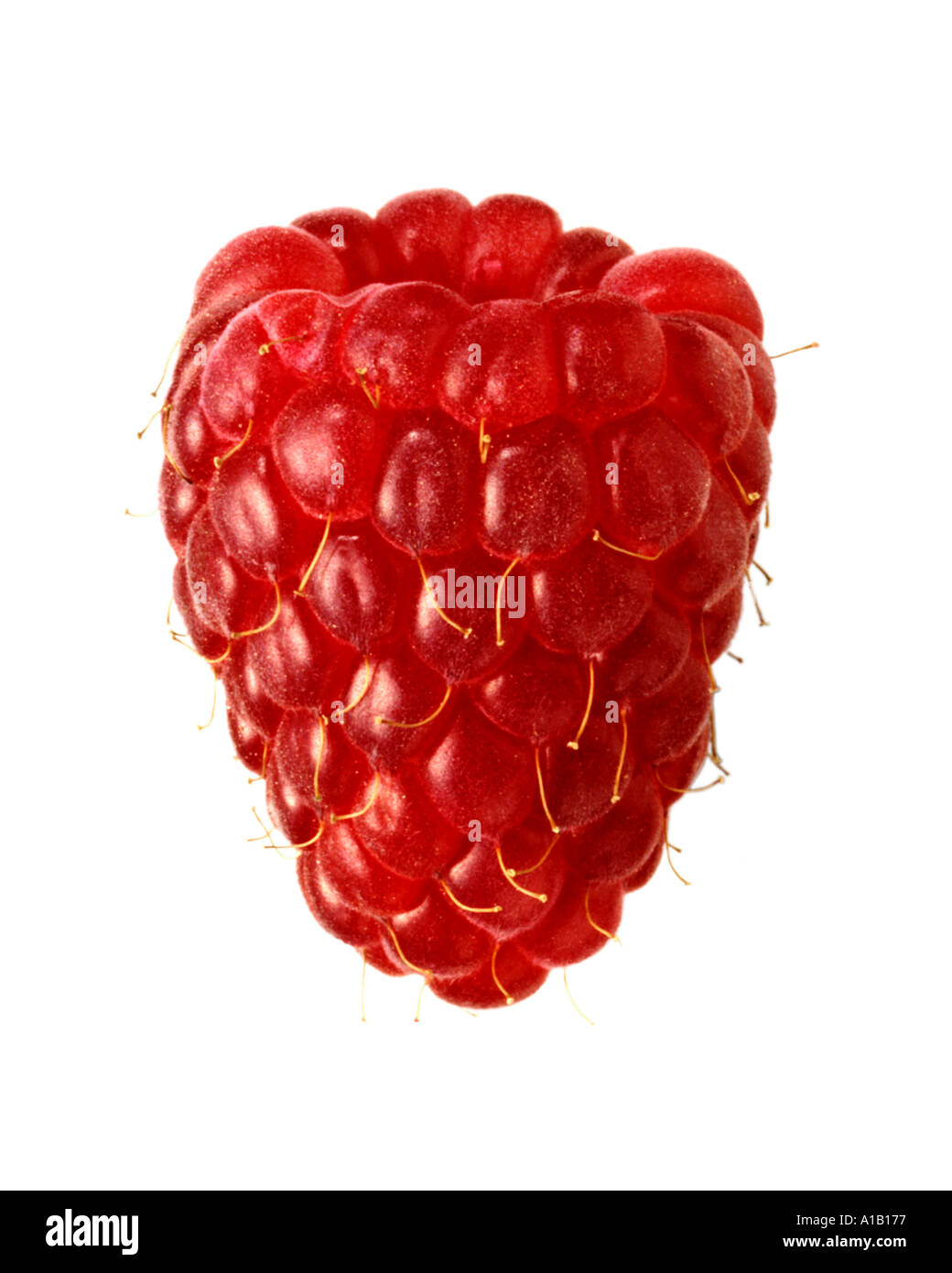 Single Raspberry