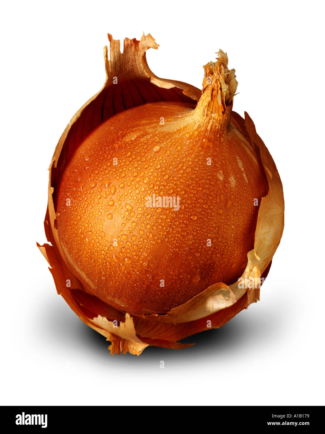 spanish onion Stock Photo