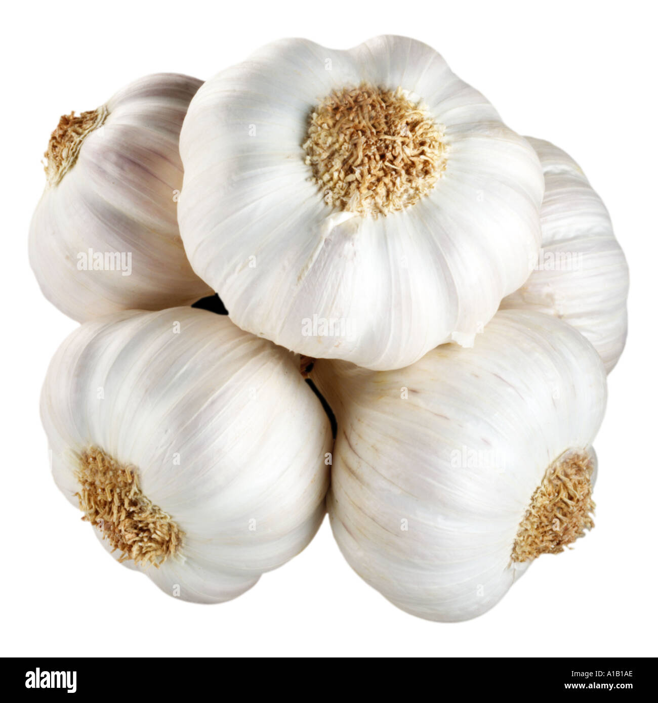 bunch of garlic on white Stock Photo
