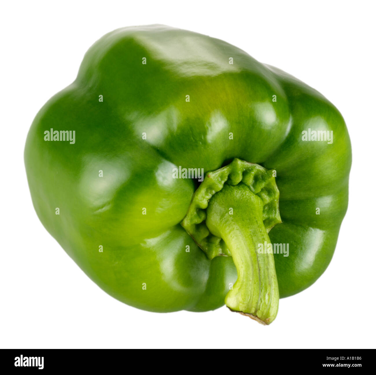 single green pepper on white Stock Photo