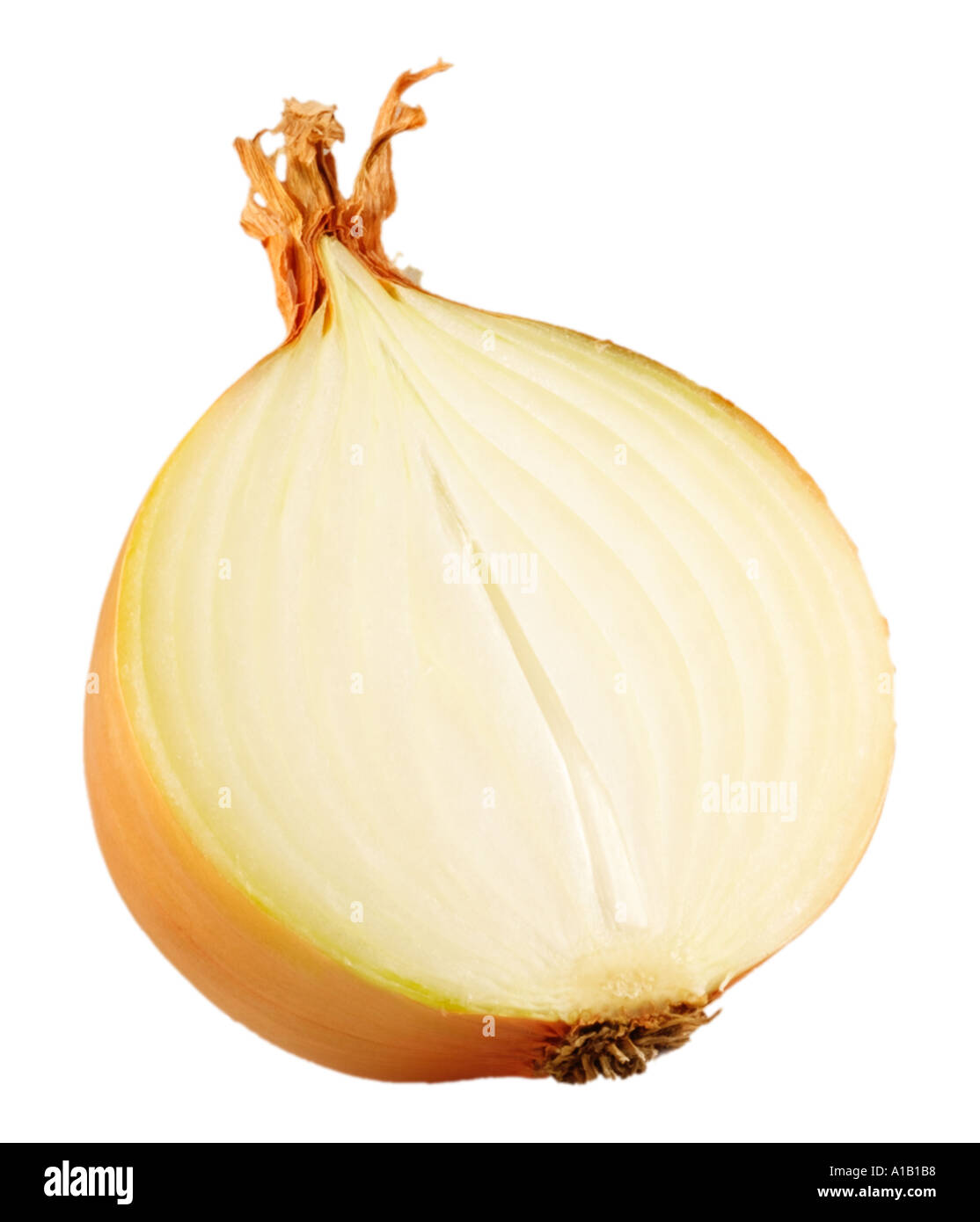 sliced onion on white Stock Photo