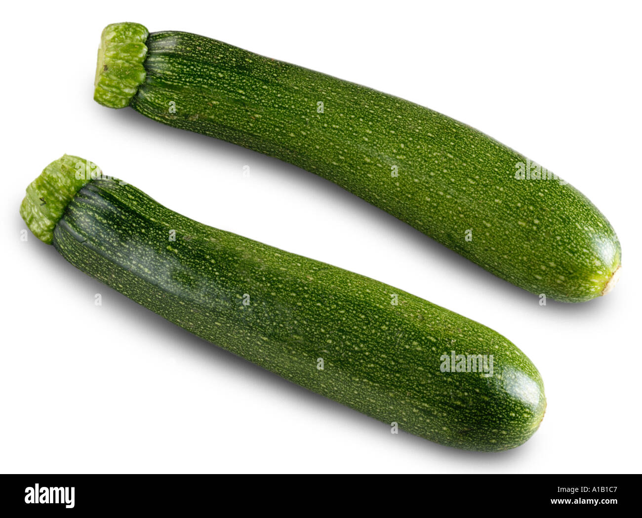 two courgettes two zucchini Stock Photo