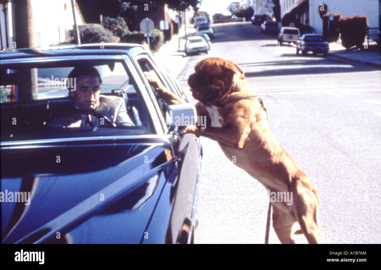 Turner And Hooch Year 1989 Director Roger Spottiswoode Stock Photo