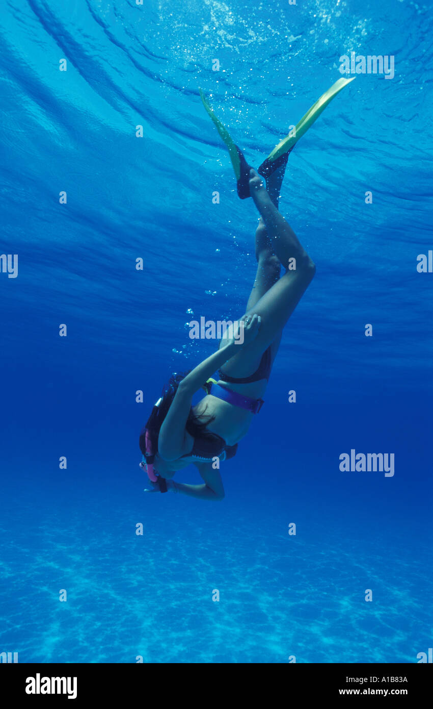 Female skin diver hires stock photography and images Alamy