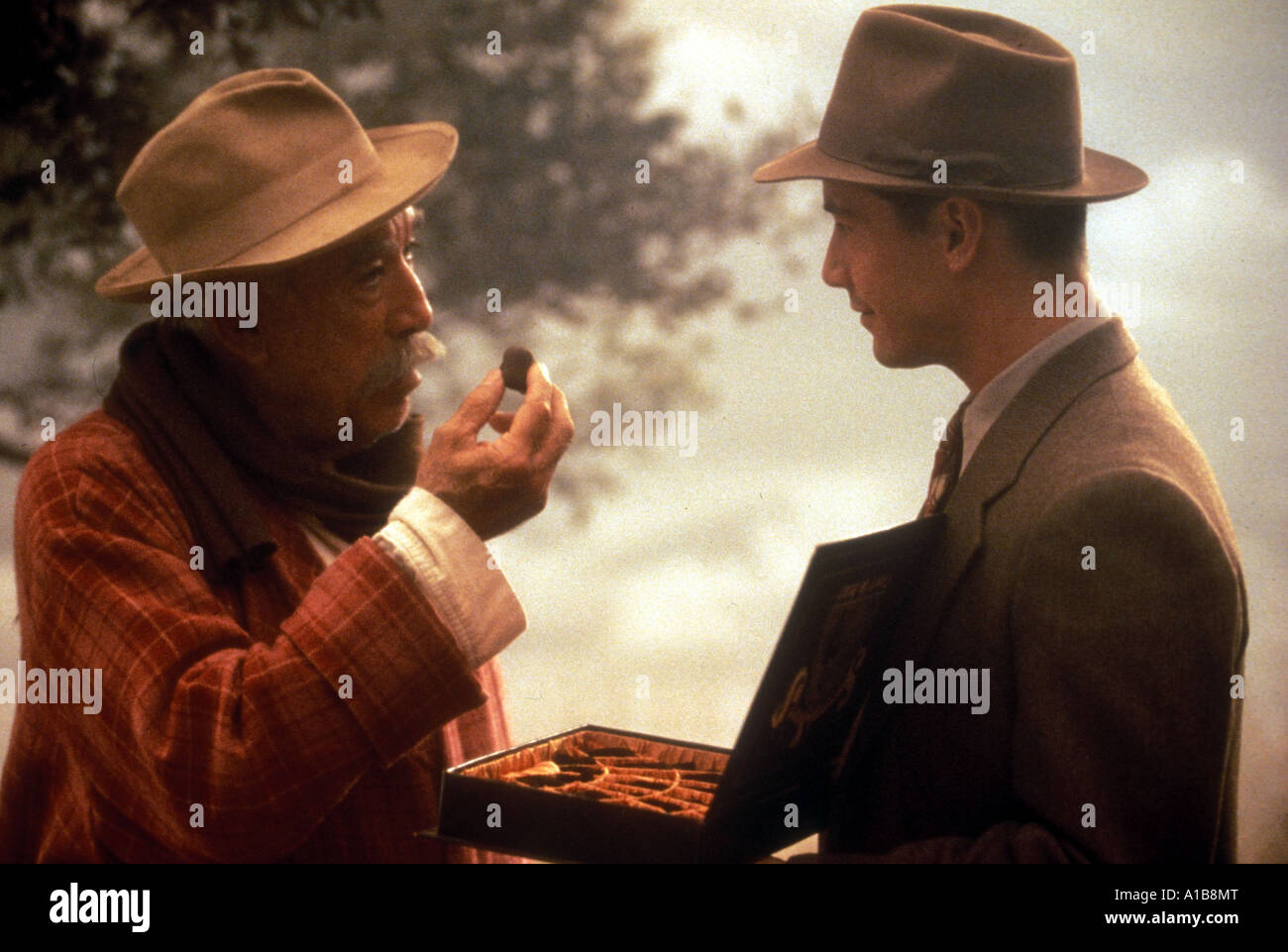 A Walk In The Clouds Film Complet En Français A Walk In The Clouds Year 1995 Director Alfonso Arau Anthony Quinn