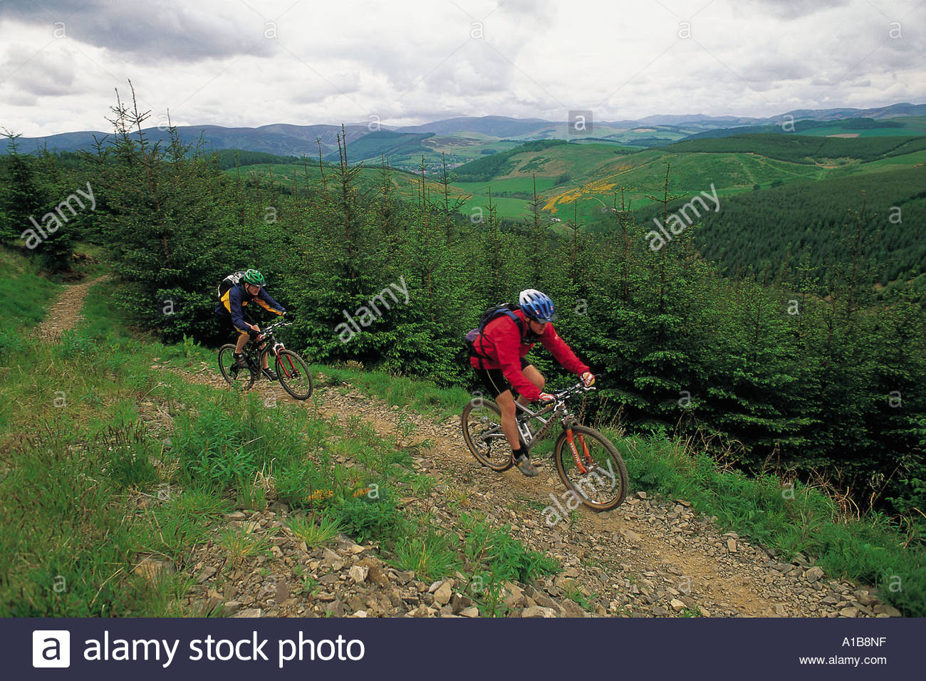 glentress bike park
