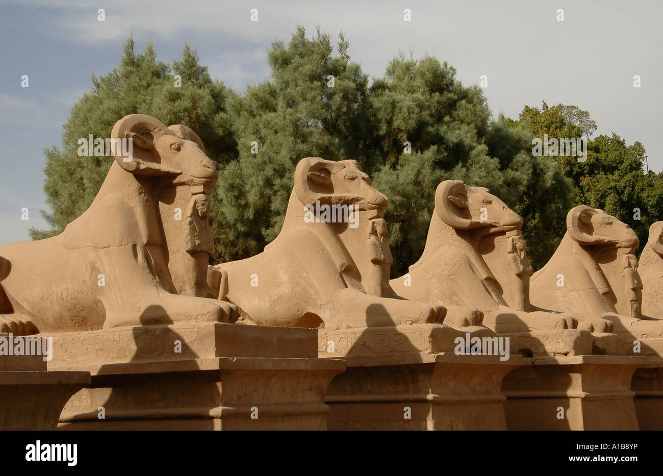 Ancient Ram statues at the Karnak Temple Complex near Luxor Egypt Stock ...