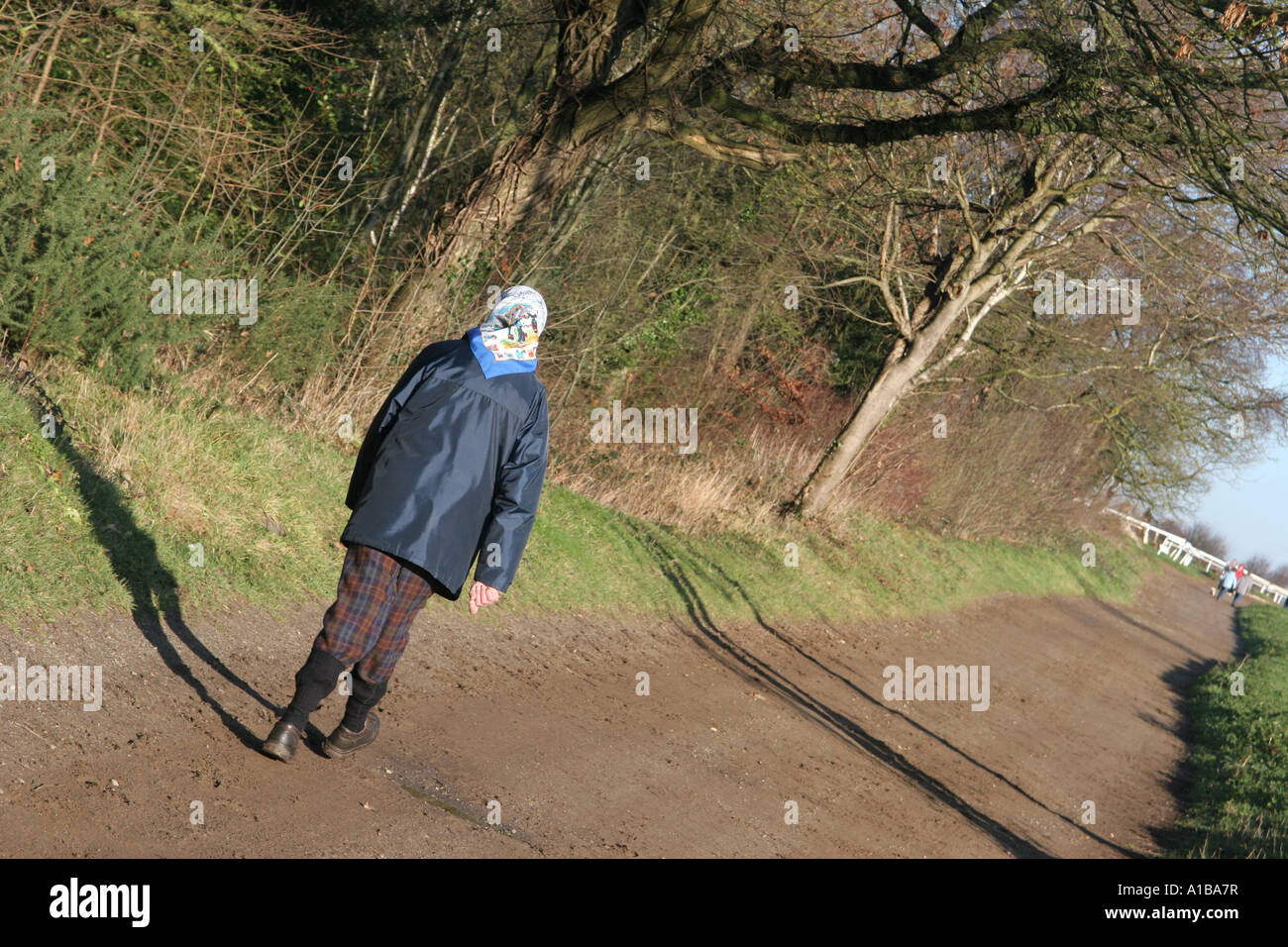 Woman walking alone woodland path hi-res stock photography and images ...