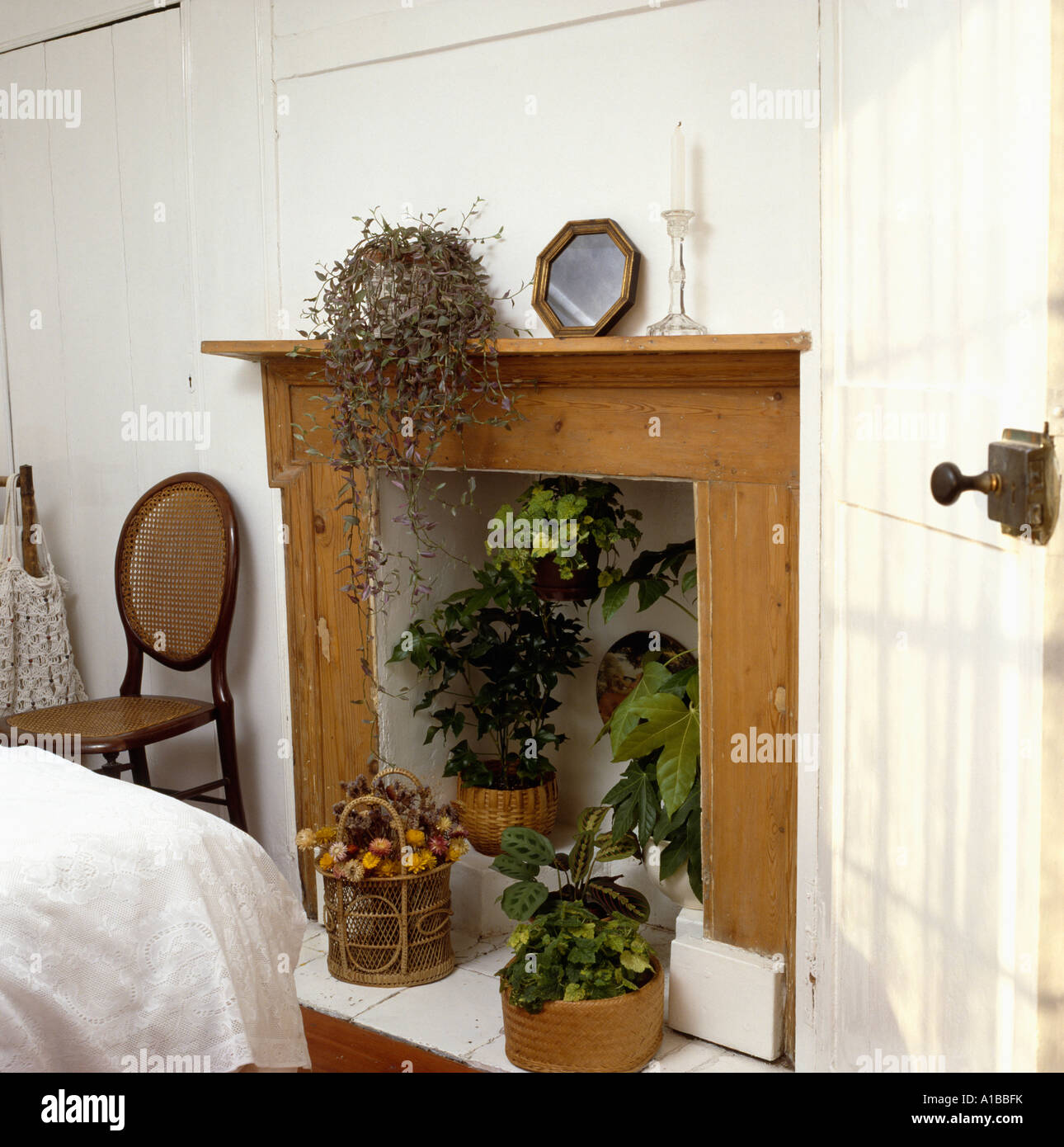 Plants in fireplace Stock Photo Alamy